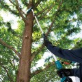 Makita DUA200Z - 200mm 18V Extension Pole Saw Skin Pole Saws