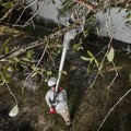 Milwaukee 48442770 - 18V Brushless Telescoping Pole Pruning Shear Cutting Blade Milwaukee Accessories