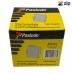Paslode A18245/1 - 45mm Electro Galv Floormaster Staples Suits Paslode Floormaster A18200 - Pack of 1000
