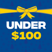 Under $100 (16)