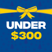Under $300 (32)