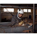 Speedglas 890107 - Shield and Bump Cap M-107 Welding Apparel