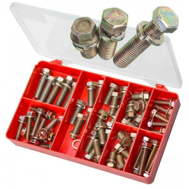 Torres AAK02 - 50 PCE Jap Fine Hex Sems Screws Kit (Large Sizes) Screws